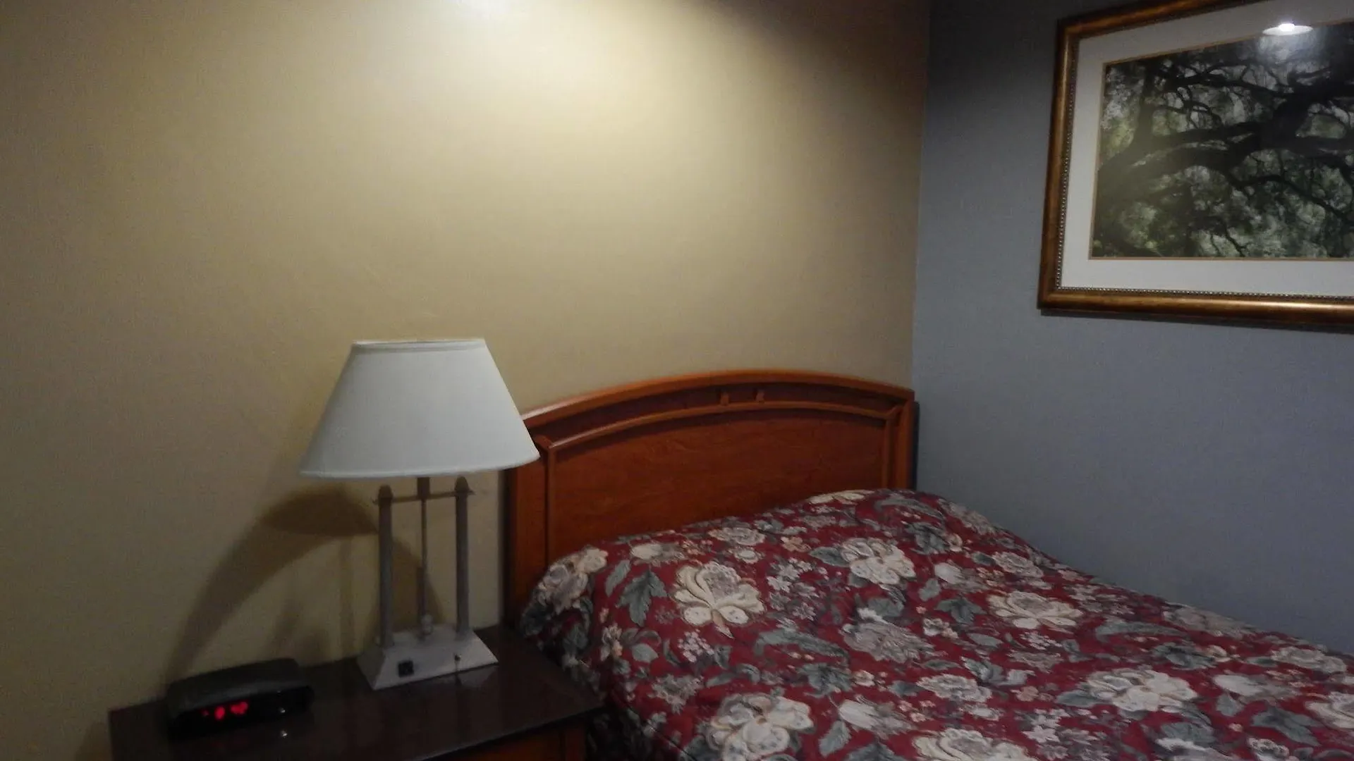 All Days Hostel Toronto 0*,  Kanada